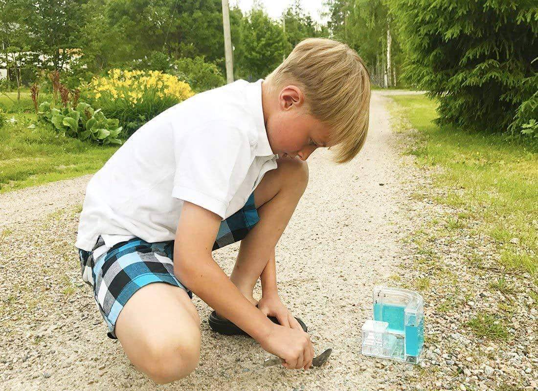 Ant Farm Castle - Nurturing A Love Of Natural Science