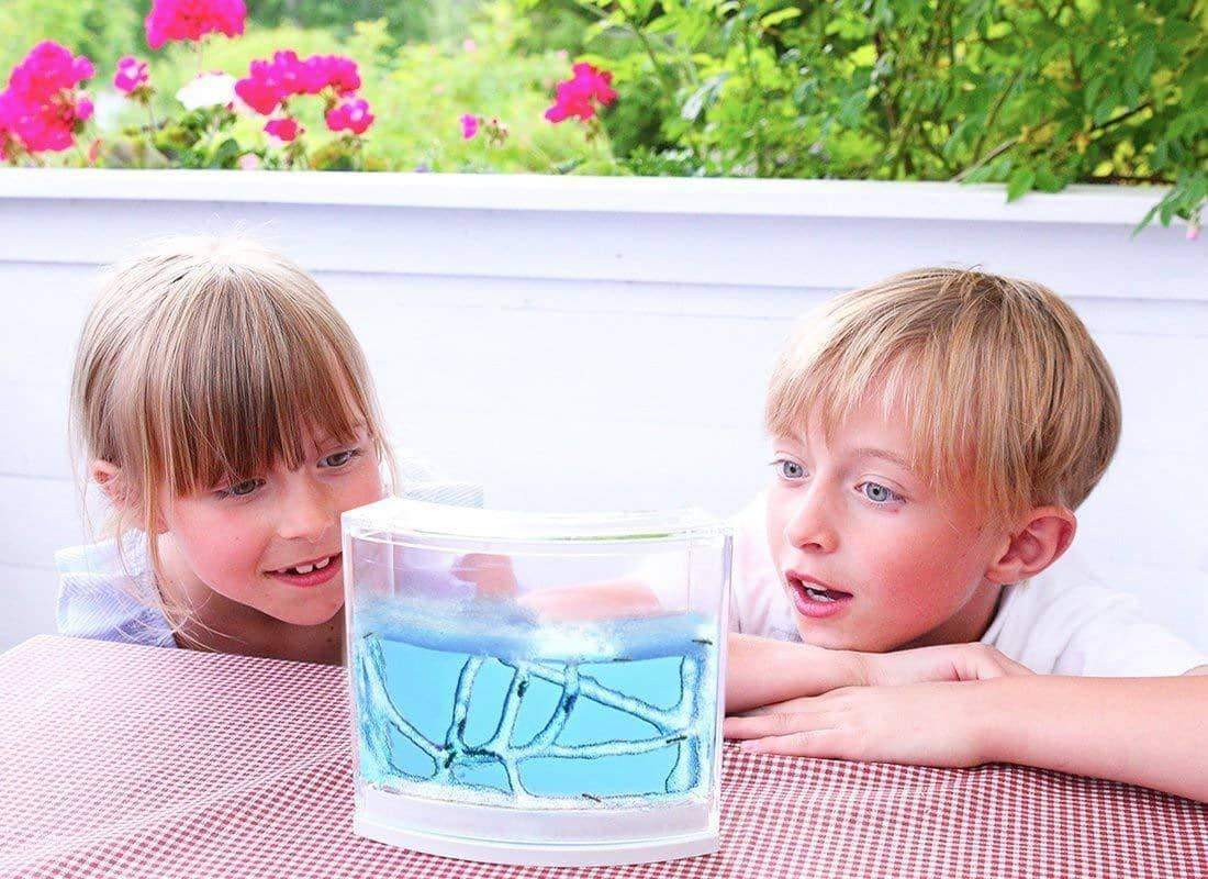 Ant Farm Castle - Nurturing A Love Of Natural Science