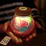 LED Rose Bottle Lamp