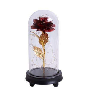 Enchanted 24k Rose Dome