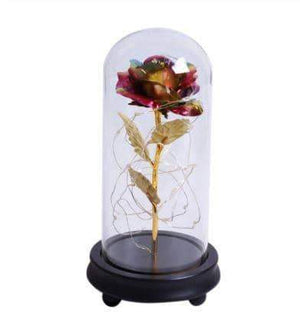 Enchanted 24k Rose Dome