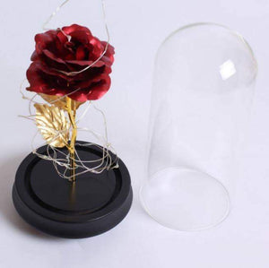 Enchanted 24k Rose Dome