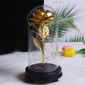 Enchanted 24k Rose Dome