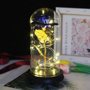 Enchanted 24k Rose Dome