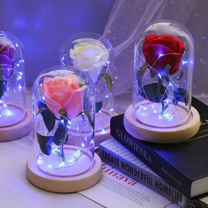 Mini LED Forever Rose