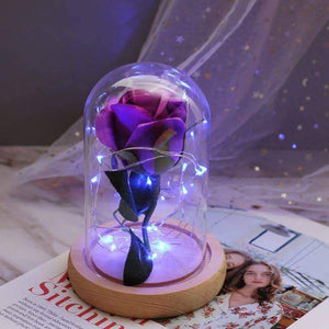 Mini LED Forever Rose