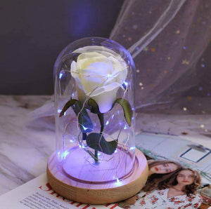 Mini LED Forever Rose