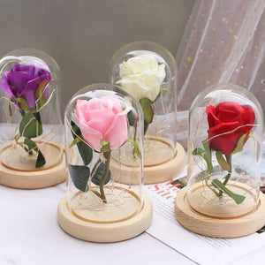 Mini LED Forever Rose