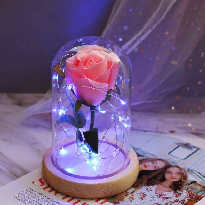 Mini LED Forever Rose