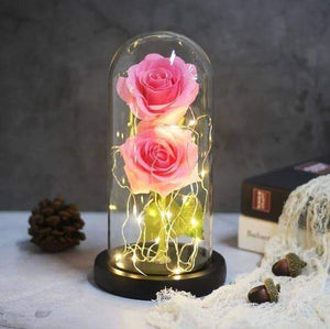 Enchanted LED Forever Double Roses