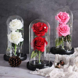 Enchanted LED Forever Double Roses