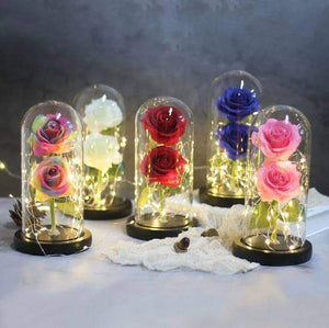 Enchanted LED Forever Double Roses