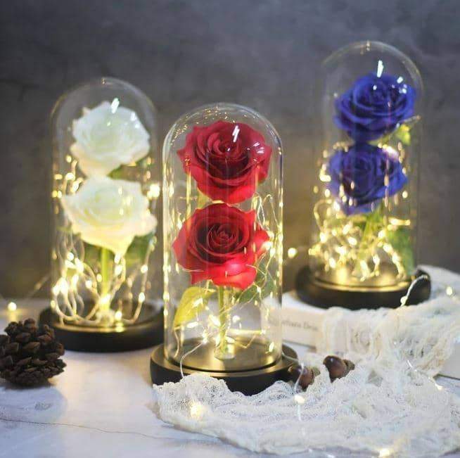 Enchanted LED Forever Double Roses