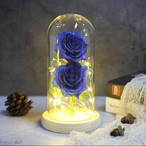 Enchanted LED Forever Double Roses