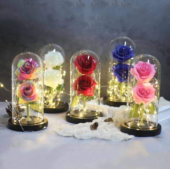 Enchanted LED Forever Double Roses