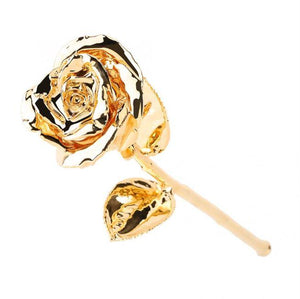 24k Gold Dipped Rose