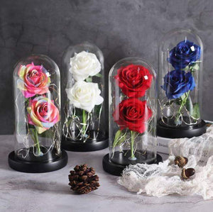 Enchanted LED Forever Double Roses