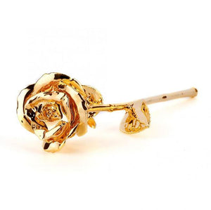 24k Gold Dipped Rose