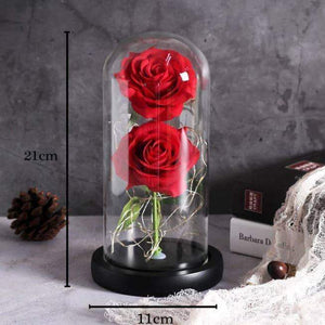 Enchanted LED Forever Double Roses