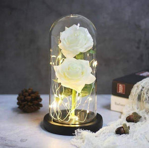 Enchanted LED Forever Double Roses