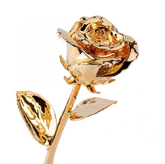 24k Gold Dipped Rose