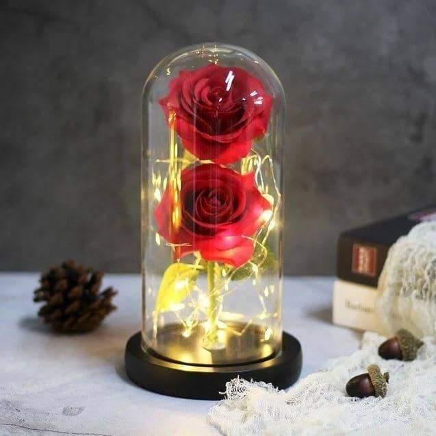 Enchanted LED Forever Double Roses