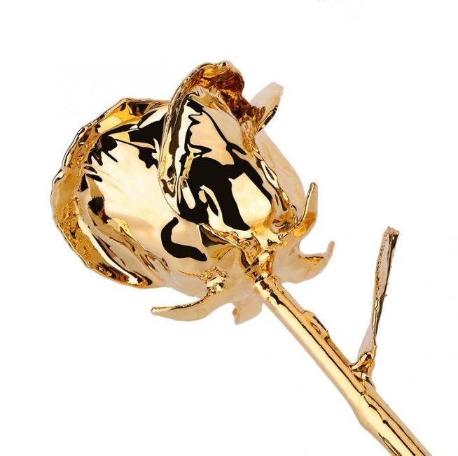 24k Gold Dipped Rose