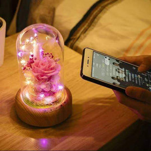 Rose Bottle Light Bluetooth Speaker